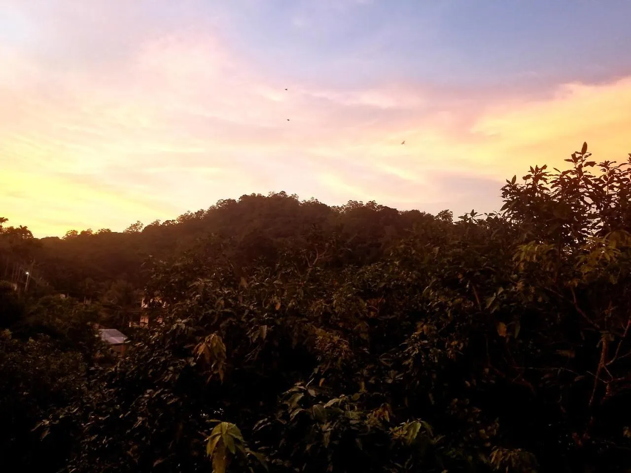 Inn Queens Mount Kandy